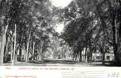 Street In Front Of The Oxford Postcard