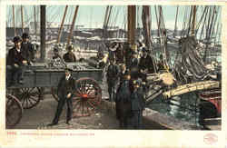 Unloading Oyster Luggers Postcard