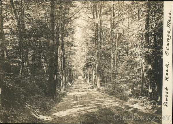Forest Road Orange Massachusetts