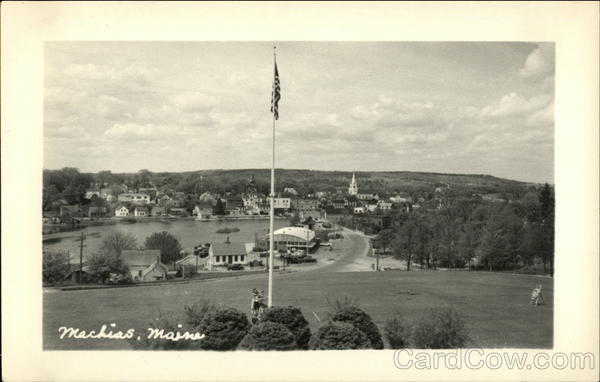 View of Town and Flagpole Machias Maine