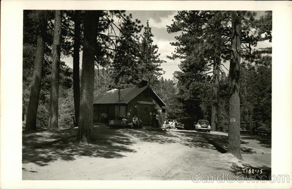 Cedar Crest Camp, 1950 California