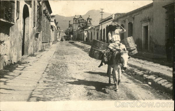 Man Riding Donkey Down Street Oaxaca Mexico