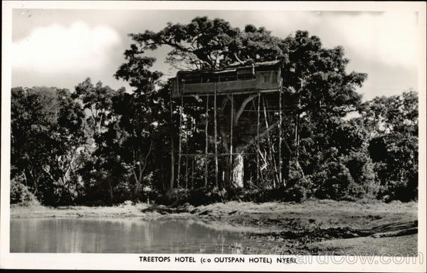 Treetops Hotel Nyeri Kenya Africa