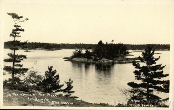 In the Home of the Bass & Lunge Georgian Bay ON Canada