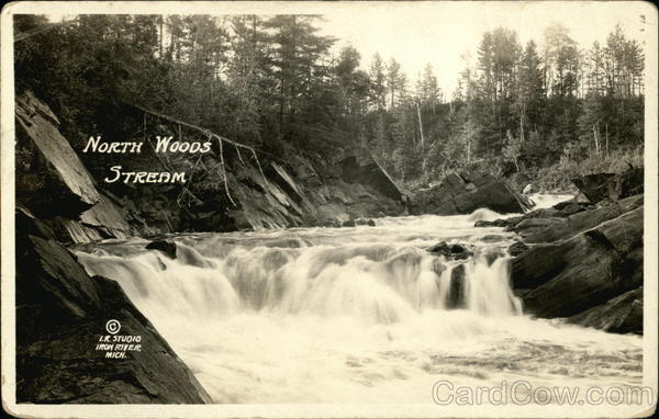 North Woods Stream Watersmeet Michigan