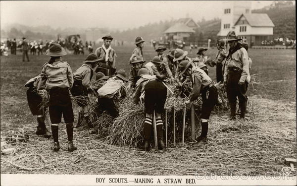 Boy Scouts Making a Straw Bed