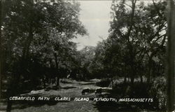 Cedarfield Path, Clarks Island Plymouth, MA Postcard Postcard
