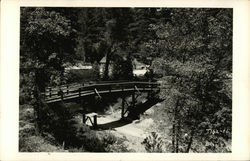 Cedar Crest Camp, 1950 California Postcard Postcard