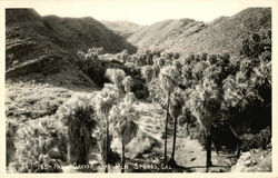 Canyon Near Palm Springs, Ca Canyon Near Palm Springs, Ca