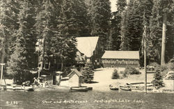 Store and Restaurant Postcard