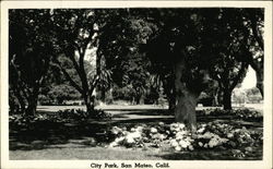 City Park Postcard