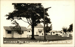 Willards "Old Orchard Cabins" Postcard