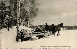 A Sleigh Ride Party from Caswell's Hotel Bernard Postcard