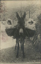 Two Babies in Baskets on Donkey Postcard
