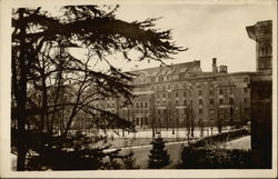 Cite Universitaire de Paris Postcard