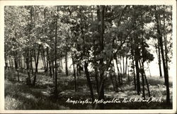 Kingsington Metropolitan Park Milford, MI Postcard Postcard