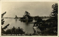 Pine Clad Isles of Geo. Bay Postcard