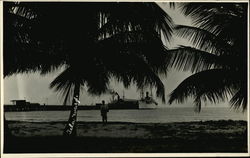 Tela Wharf Honduras Central America Postcard Postcard