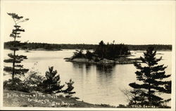 In the Home of the Bass & Lunge Postcard