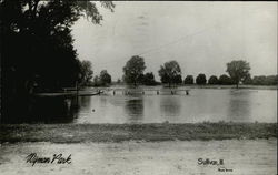 Wyman Park Sullivan, IL Postcard Postcard