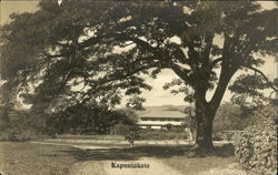 Stock #434262 Thumbnail