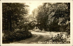 Road in Keweenaw Postcard