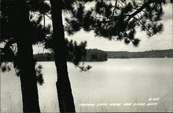 Fortune Lake near Iron River Crystal Falls, MI Postcard Postcard