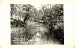 Along the Saline River, Saline Valley Farms Postcard