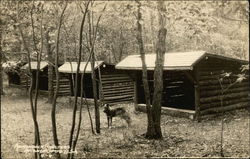 Adirondack Shelters Postcard