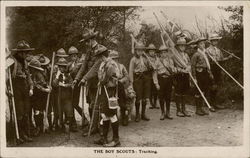 The Boy Scouts: Tracking Postcard