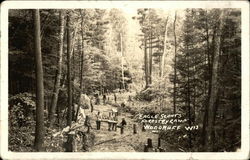 Eagle Scouts' Forestry Camp Postcard