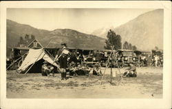 Boy Scouts at Revelstoke Scout Camp Postcard