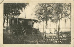 Scene Near Harrisville, Mich Postcard