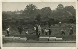 Stock #434538 Thumbnail