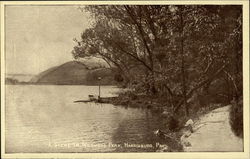 A Scene in Wildwood Park Harrisburg, PA Postcard Postcard