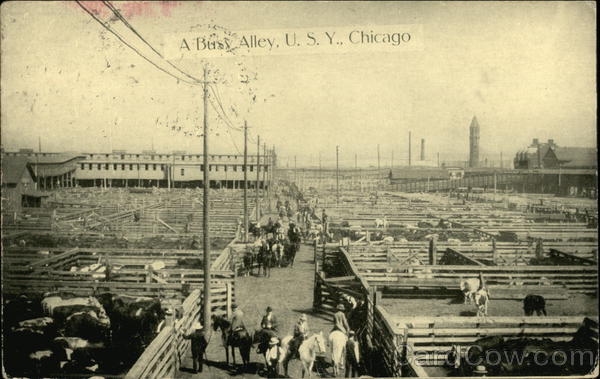 A Busy Alley, USY Chicago Illinois