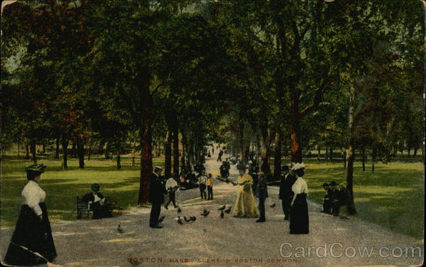 Scene on Boston Common Massachusetts