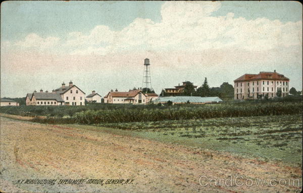 N.Y Agricultural Experiment Station Geneva New York