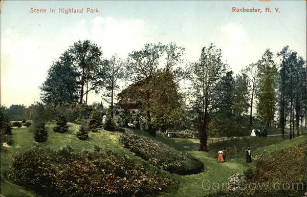 Scene at Highland Park Rochester New York