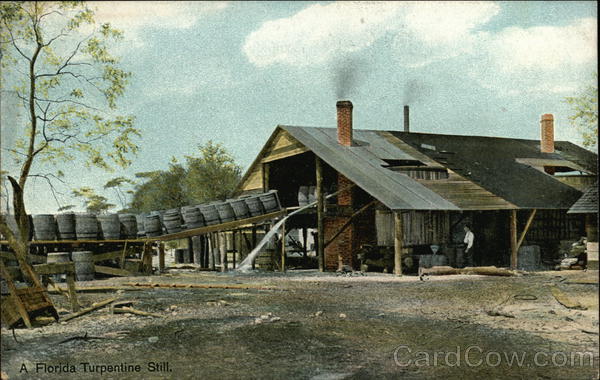 A Florida Turpentine Still