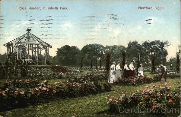 Rose Garden, Elizabeth Park Hartford Connecticut
