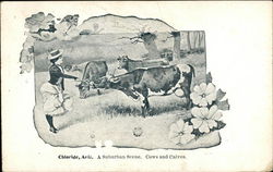 A Suburban Scene, Cows and Calves Chloride, AZ Postcard Postcard