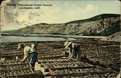 Abalone Fishermen, Harbor District Postcard