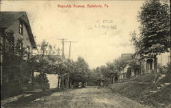 Residential View of Reyolds Avenue Bellefonte, PA Postcard Postcard