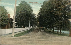 Water Street Camptown, PA Postcard Postcard