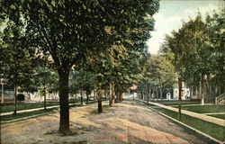 Residential View along Lincoln Avenue Postcard