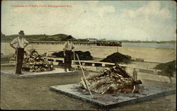 Clambake at Field's Point Postcard