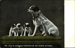 Mom and Three Pups Postcard