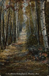 In the Autumn Woods, Greylock Mountain Postcard