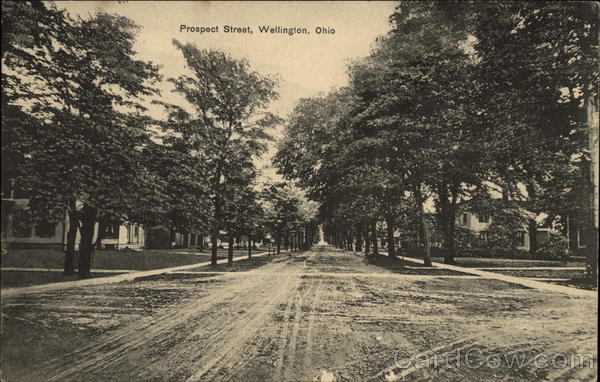 Residential View along Prospect Street Wellington Ohio